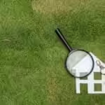 אילו בדיקות חובה לבצע לפני קניית דירה עורכת דין מור עדה